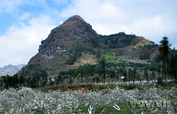 Famous mountain range in Lao Cai  - ảnh 6