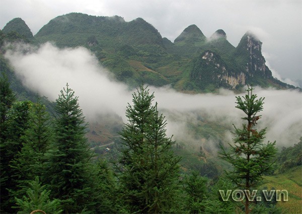 Famous mountain range in Lao Cai  - ảnh 7