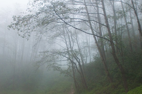 Snow ice at O Qui Ho mountain pass  - ảnh 2