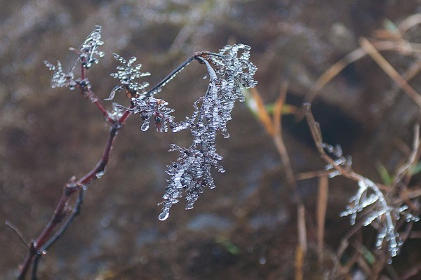 Snow ice at O Qui Ho mountain pass  - ảnh 3