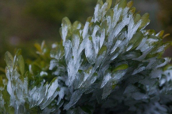 Snow ice at O Qui Ho mountain pass  - ảnh 4