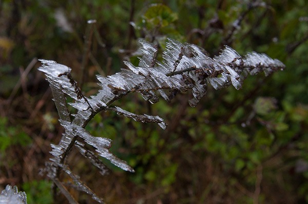 Snow ice at O Qui Ho mountain pass  - ảnh 6