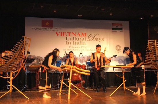 2013: Year of Vietnam’s solidarity with India, Japan  - ảnh 1