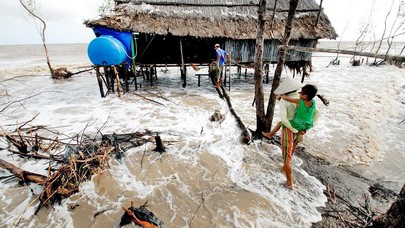 Ho Chi Minh City hosts World Deltas Dialogues  - ảnh 1