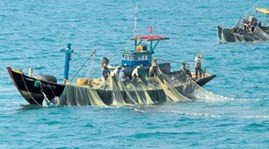 Sustainable development of marine economy  - ảnh 1