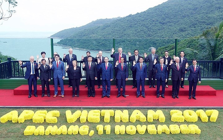 APEC Year 2017 creates new momentum for national development - ảnh 1