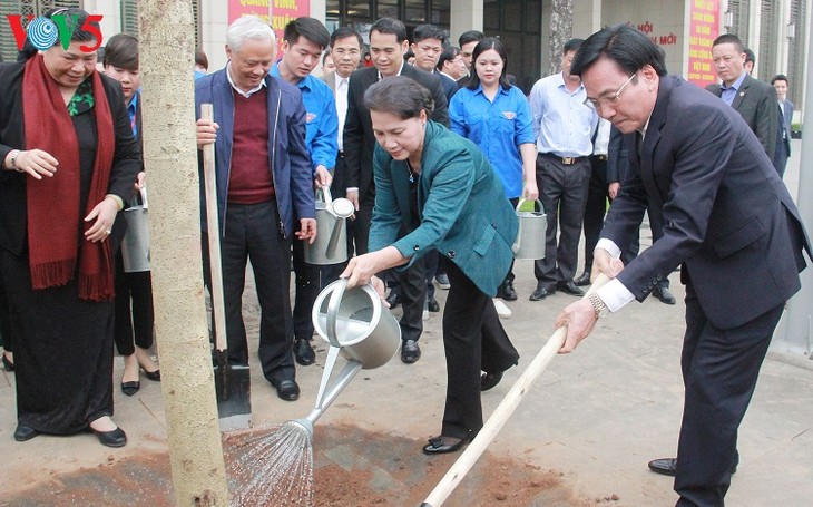 Ban flower trees planted at National Assembly House  - ảnh 1