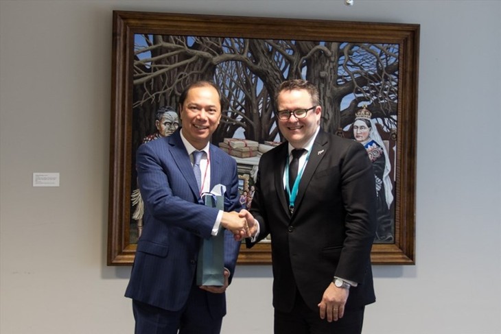 Vietnam, New Zealand look towards strategic partnership - ảnh 1