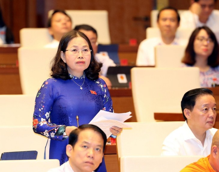 National Assembly deputies propose socio-economic development solutions - ảnh 2