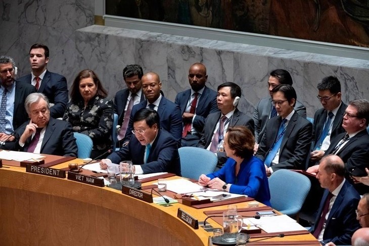 Vietnam succeeds in fulfilling UN Security Council Presidency - ảnh 2