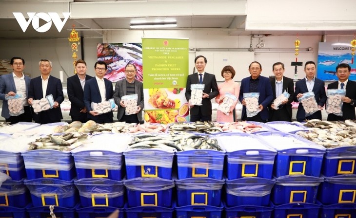 Vietnam’s pangasius marketing program launched in Australia - ảnh 1