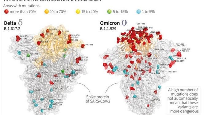 Sub-lineage of Omicron variant spreads to 40 countries - ảnh 1