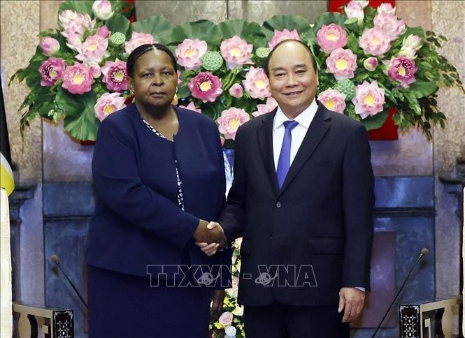 President Nguyen Xuan Phuc receives Mozambican Assembly President - ảnh 1