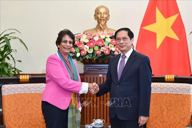 FM praises UNDP’s role in achieving sustainable development goals - ảnh 1