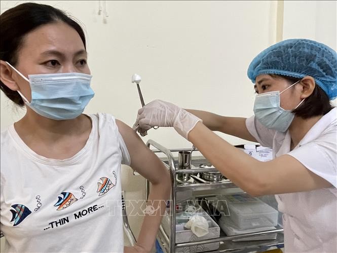 Vietnam reports no deaths from COVID-19 on Thursday  - ảnh 1