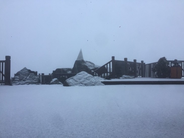 Mount Fansipan blanketed in snow  - ảnh 1