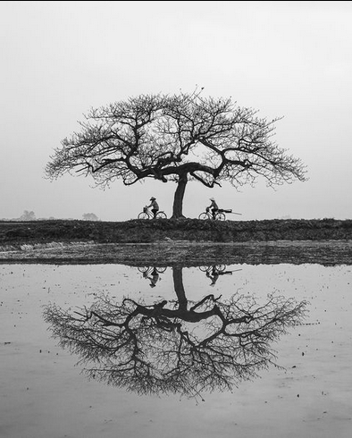 Vietnam natural beauty captured by Tran Tuan Viet’s lens  - ảnh 2