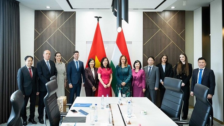 Vietnam, Hungary hold political consultation  - ảnh 1