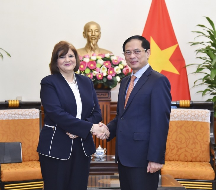 Foreign Minister meets Egyptian Ambassador - ảnh 1