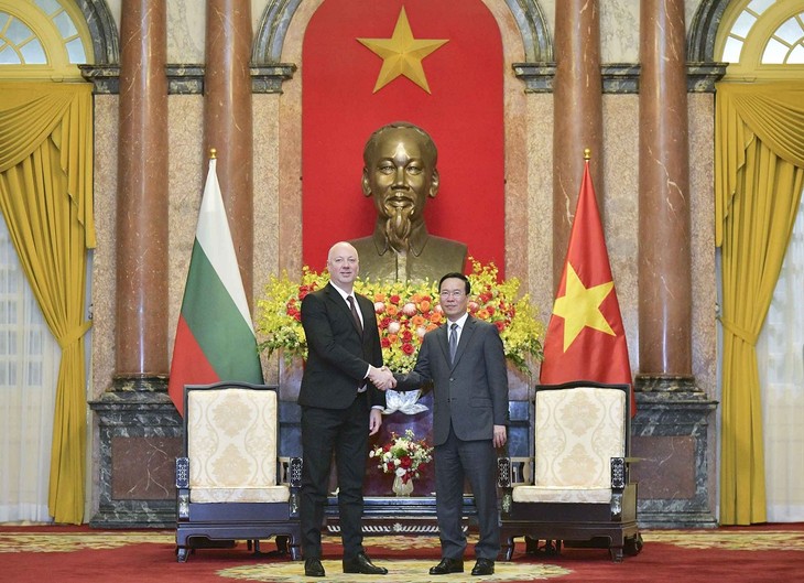 President receives Bulgarian National Assembly Speaker  - ảnh 1