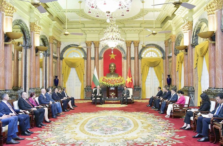 President receives Bulgarian National Assembly Speaker  - ảnh 2