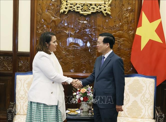 President receives New Zealand and Peru ambassadors - ảnh 1