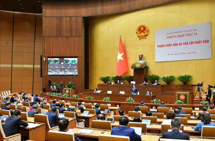 Diplomacy keeps contributing to national development, says FM  - ảnh 1