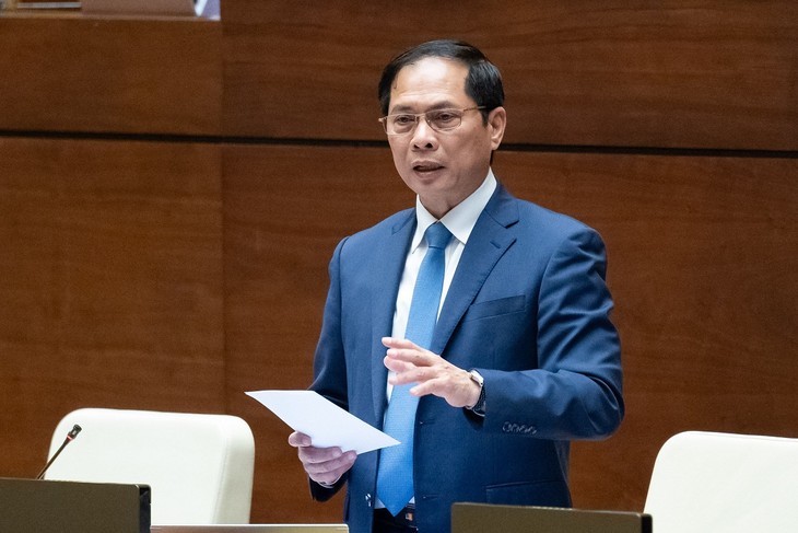 Diplomacy keeps contributing to national development, says FM  - ảnh 2