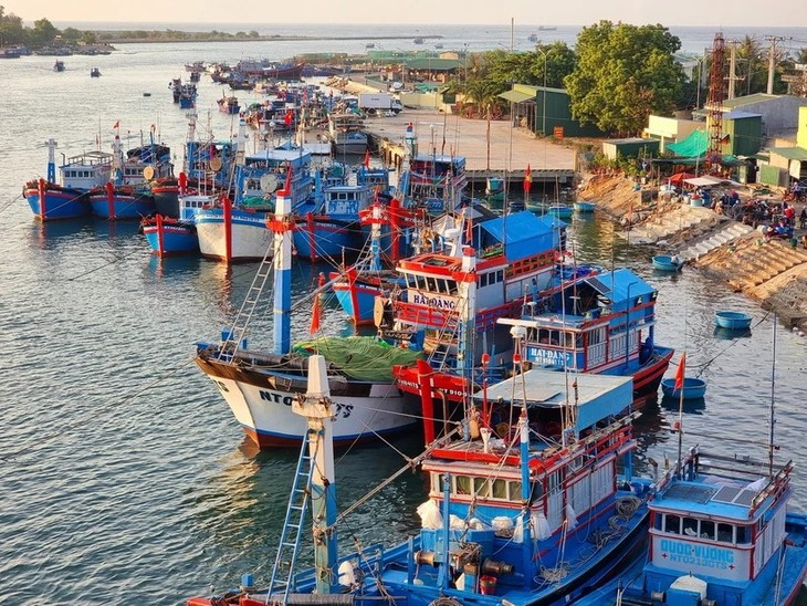 Vietnam adopts measures to have EC's IUU 