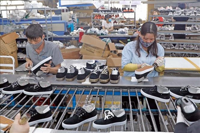 Leather footwear exports likely to earn 27 billion USD in 2024 - ảnh 1