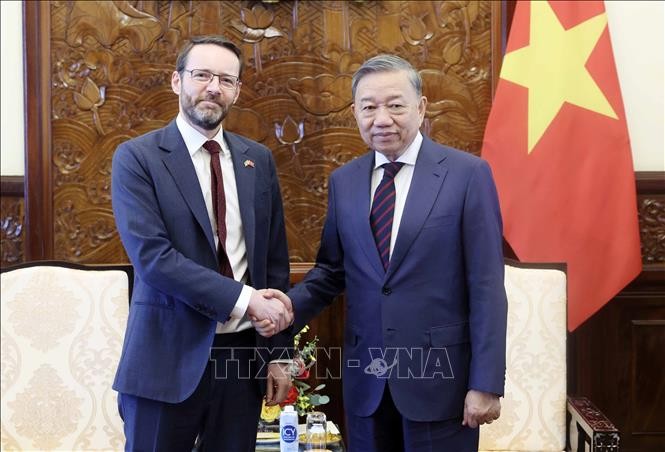 President meets with UK ambassador  - ảnh 1