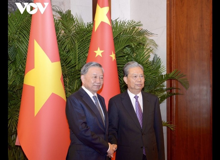 General Secretary and President To Lam meets China's top legislator - ảnh 1