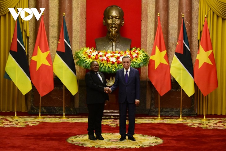 Vietnam, Mozambique hold high-level talks - ảnh 1