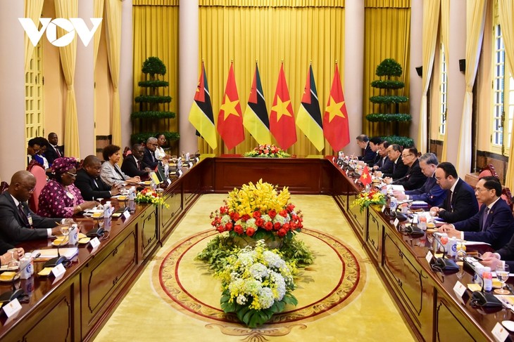 Vietnam, Mozambique hold high-level talks - ảnh 2