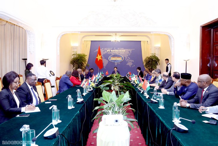 Vietnam, Africa seek to strengthen cooperation  - ảnh 1