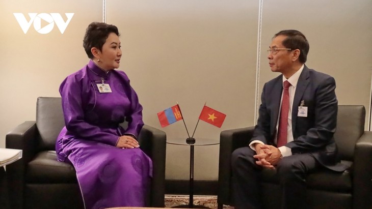 Deputy PM meets Mongolian FM at the UN  - ảnh 1