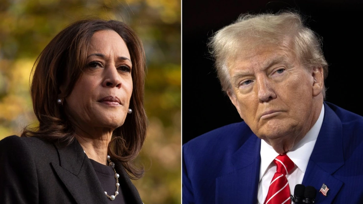 US election 2024: Harris and Trump neck-and-neck in battleground states - ảnh 1