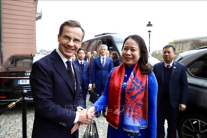 Vice President holds talks with Swedish PM - ảnh 1