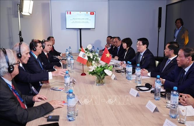 President receives leaders of major Peruvian companies  - ảnh 1