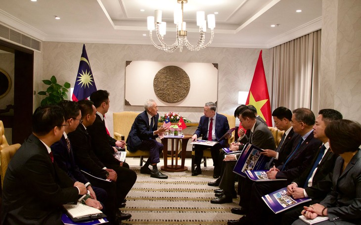 Party chief receives leaders of major Malaysian groups - ảnh 1