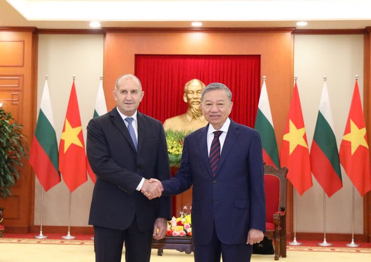 Party leader receives Bulgarian president  - ảnh 1