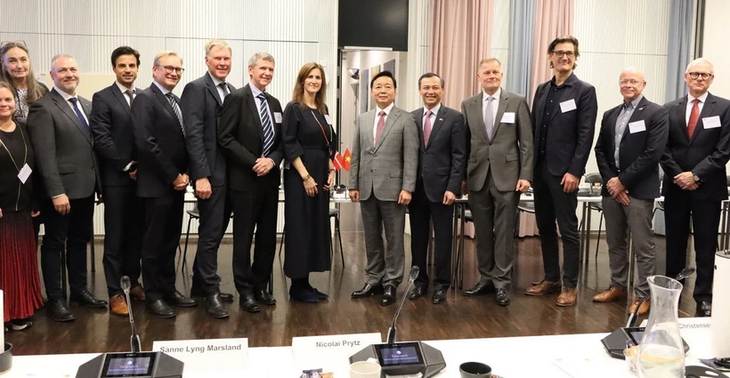 Vietnam, Denmark share vision on clean, sustainable energy - ảnh 1