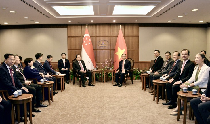 Vietnam, Singapore top legislators discuss elevating relations  - ảnh 1