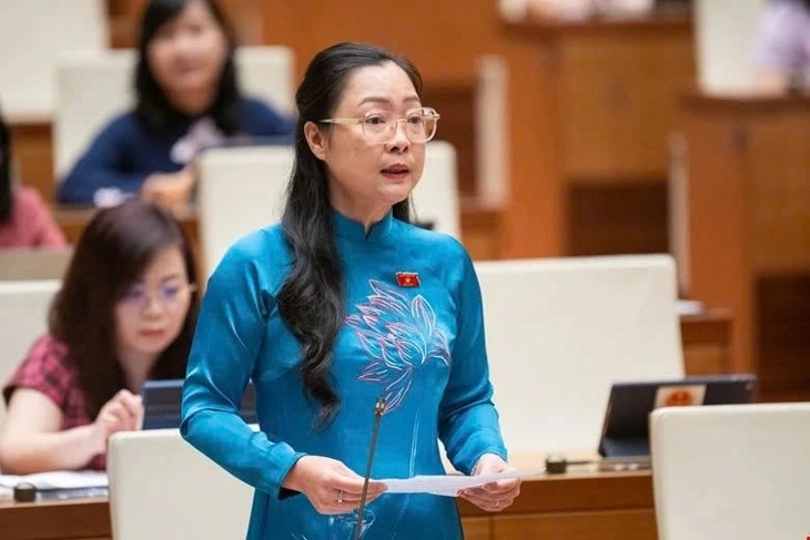 Lawmakers voice support for 2013 Constitution revision  - ảnh 1