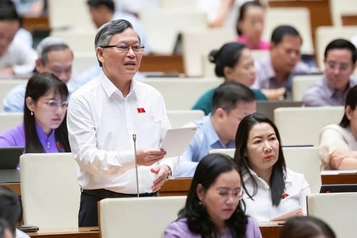 Lawmakers voice support for 2013 Constitution revision  - ảnh 2