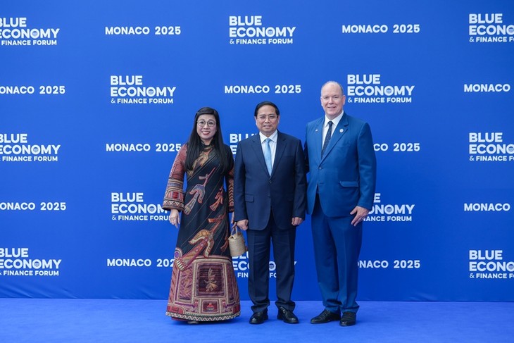 Vietnam attends UN Ocean Conference in France  - ảnh 1