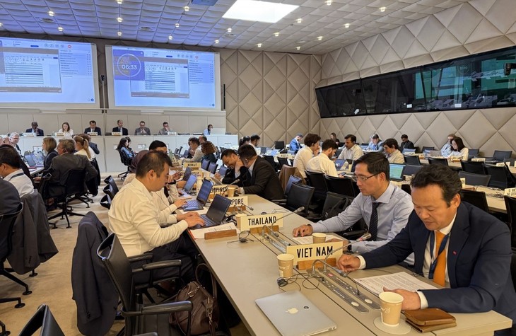 Vietnam attends Norway's trade policy review at WTO - ảnh 1