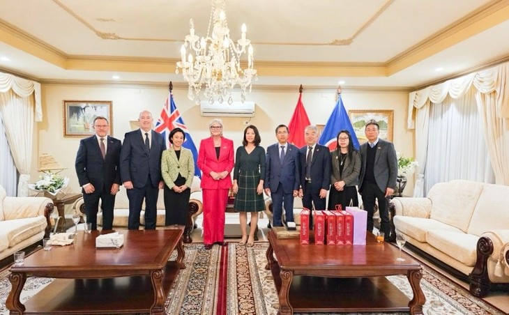 Vietnam, Australia strengthen multi-faceted relations  - ảnh 1