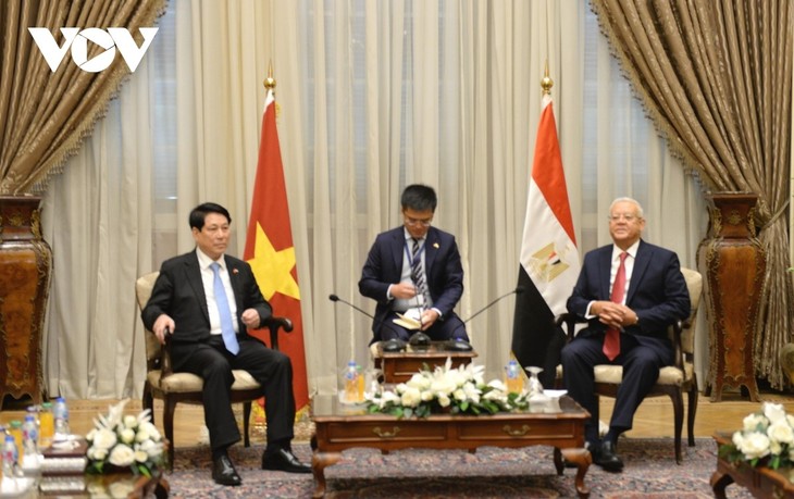 President meets Speaker of Egyptian House of Representatives  - ảnh 1