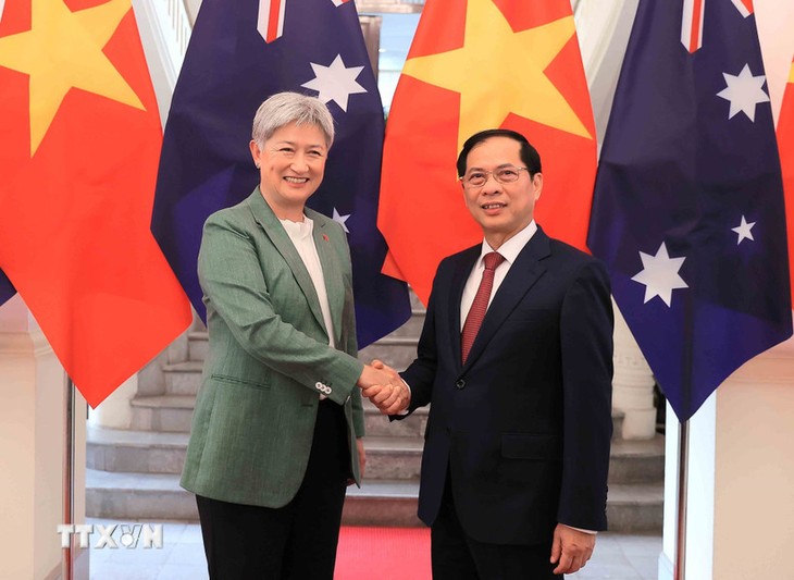 Vietnam, Australia make breakthrough in sci-tech cooperation, Deputy PM suggests  - ảnh 1